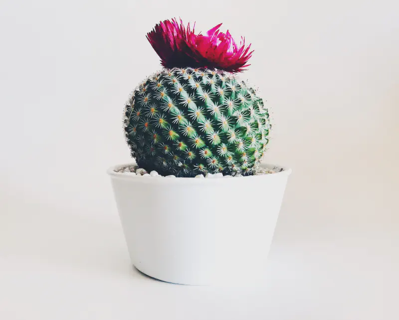Featured image of post Design Pattern: Bill Pugh Singleton in Java – surprisingly simple