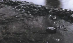 Featured image of post IT Doctor Diagnoses Common Memory Leak Cases in Android