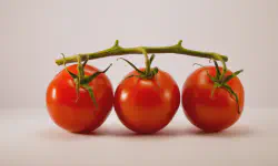 Featured image of post 6-Month Journey Applying the Pomodoro Technique