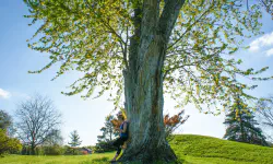 Featured image of post Trunk Based Development – a Git workflow to reduce the headache of resolving conflicts